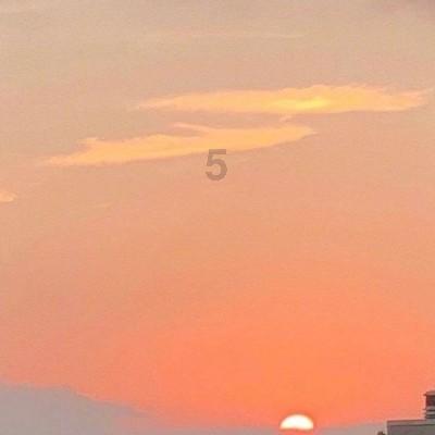 蝉古诗的意思一句一句的翻译 | 打造知识星球平台,汲取优质内容